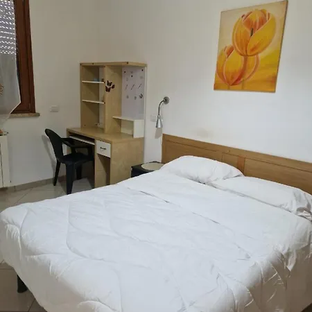 Apartamento Affitto Bilocale Pomezia